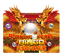 Burning Pearl Bingo by Joker Gaming