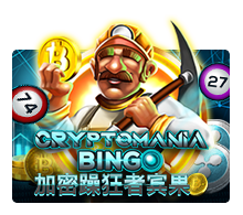 Crypto Mania Bingo by Joker Gaming